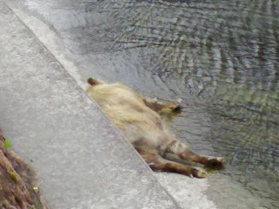 20150628C.jpg
