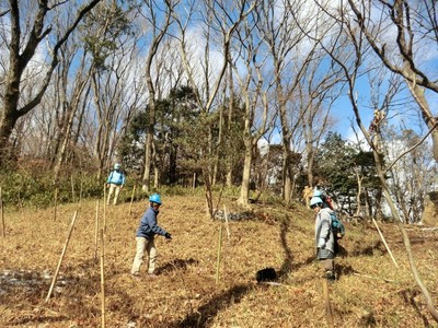 東亜バルブエンジニアリング活動地にも5本植樹.jpg