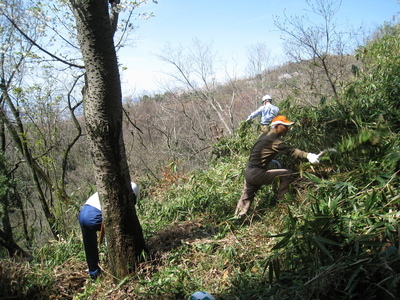 image3.JPG