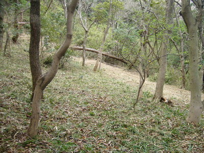 image4.JPG