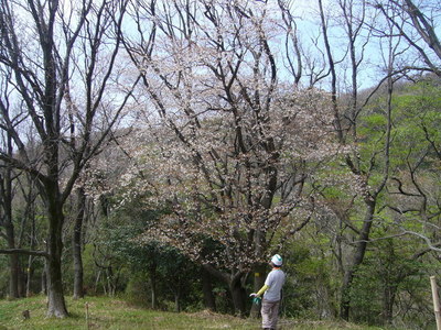 image5.JPG